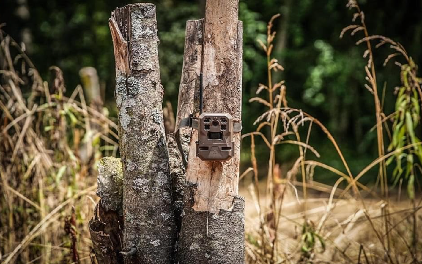 Moultrie Edge Cellular Trail Camera - Nationwide 4G LTE - HD Video-Audio - Built in Memory - Cloud Storage